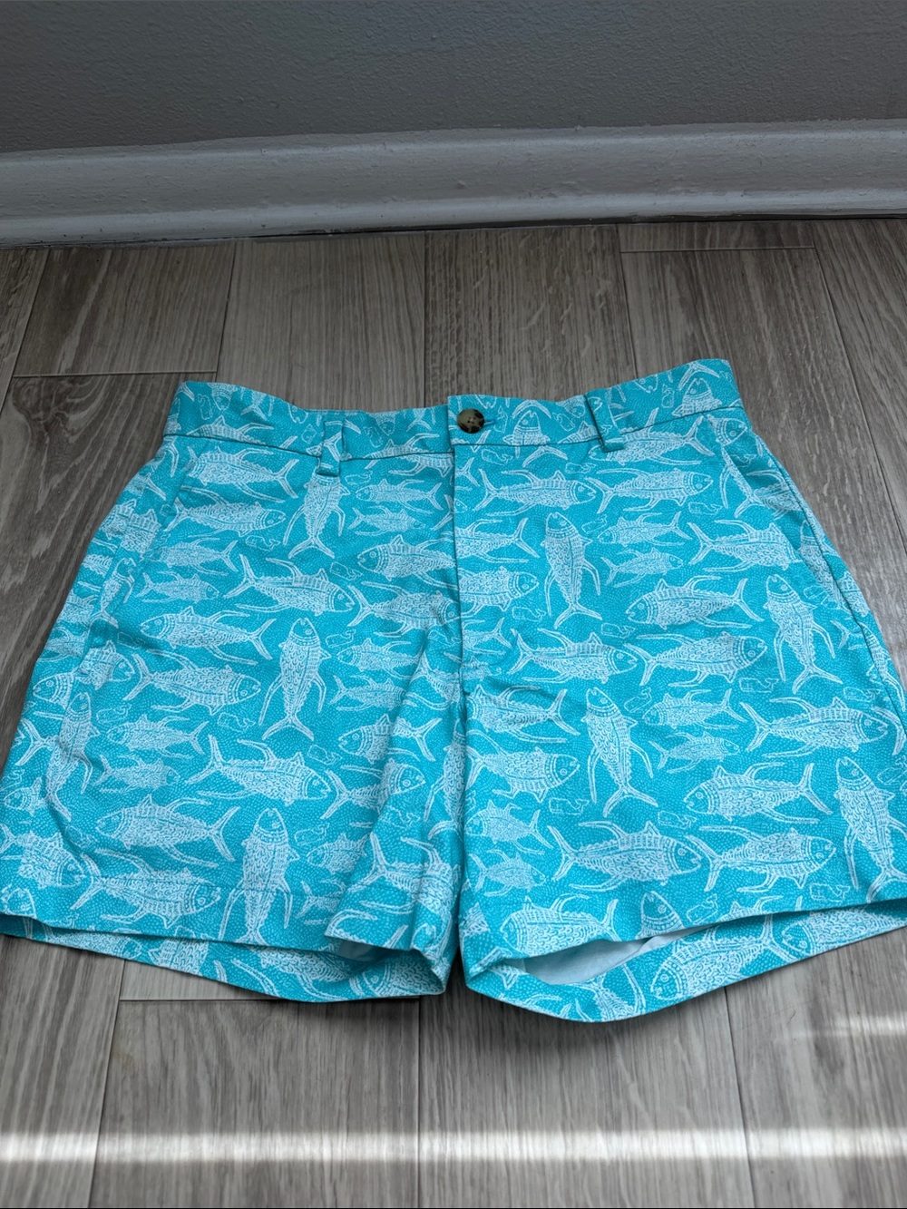 Aqua Fish Print Mens Shorts